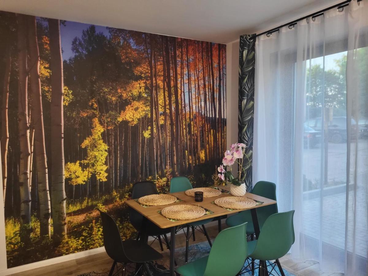 Apartamenty Gusto 奥斯特罗达 外观 照片